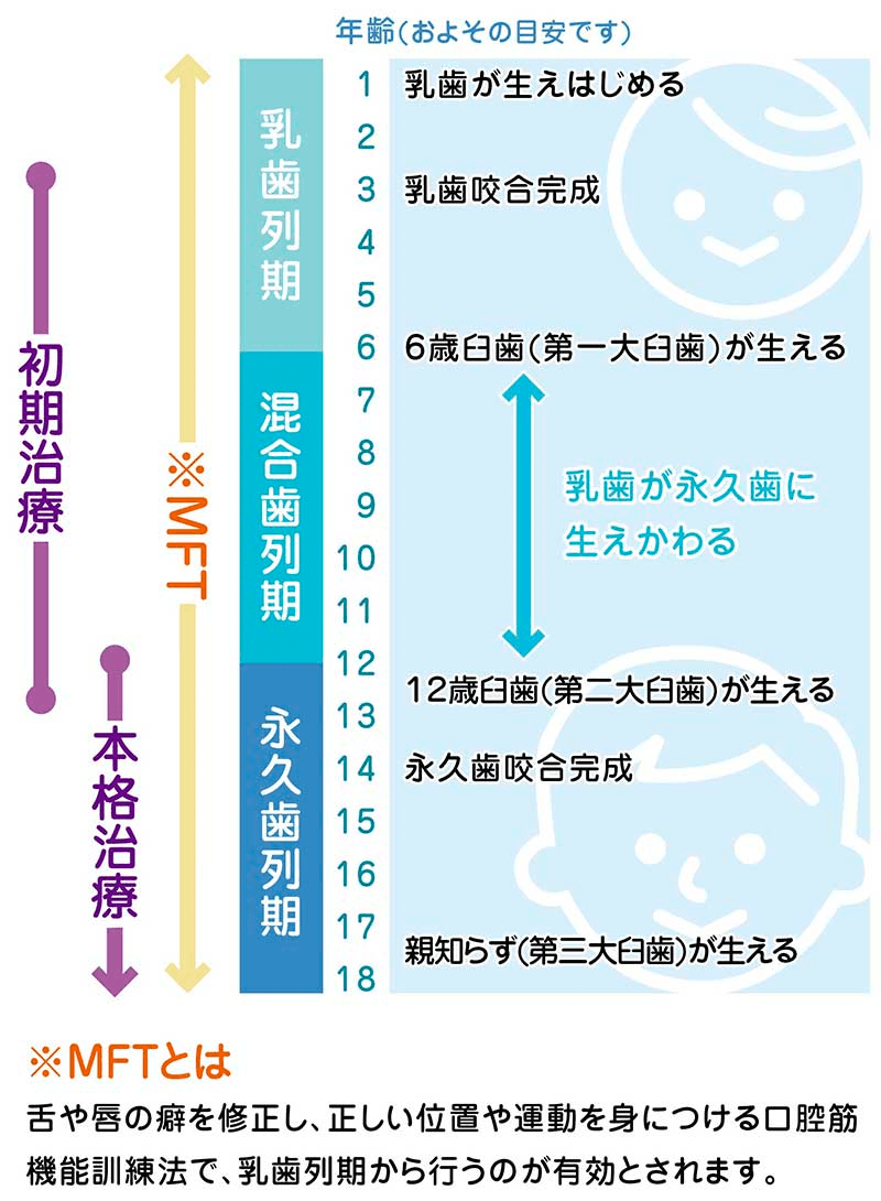 咬み合わせの発育と更正歯科治療
